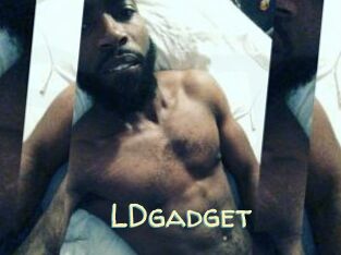LDgadget