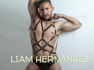 LIAM_HERNANDEZ Sexy Tchat