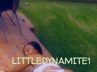 LITTLEDYNAMITE1