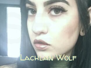 Lachlan_Wolf
