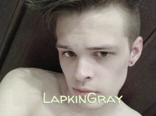 LapkinGray