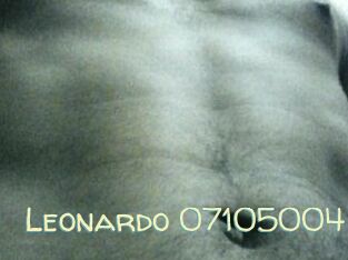 Leonardo-07105004