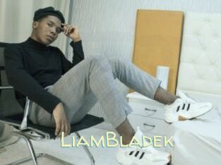 LiamBladek