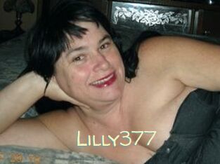 Lilly377