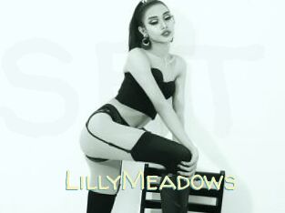 LillyMeadows
