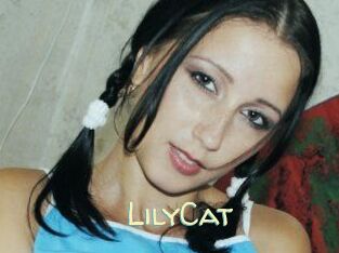 Lily_Cat_
