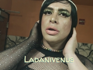 Ladanivenus