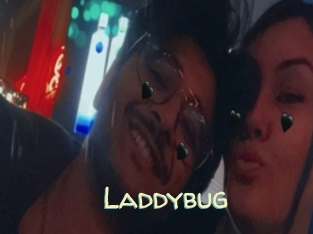 Laddybug