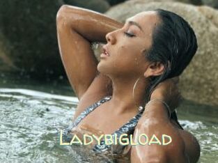 Ladybigload