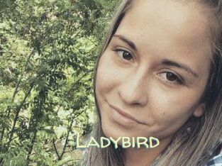 Ladybird