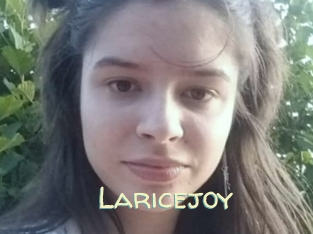 Laricejoy