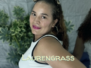 Laurengrass