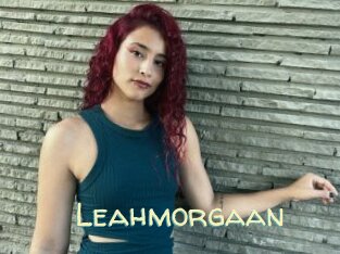 Leahmorgaan