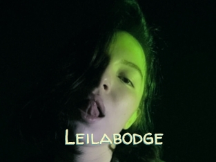 Leilabodge