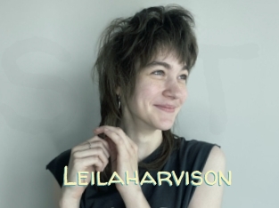 Leilaharvison