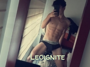 Leoignite