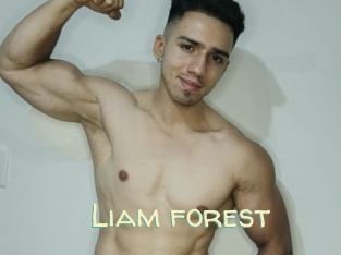 Liam_forest