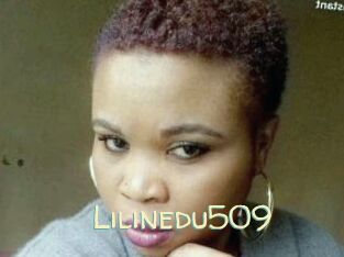 Lilinedu509