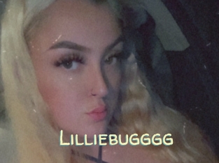Lilliebugggg