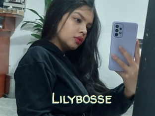 Lilybosse