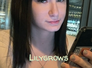 Lilygrows