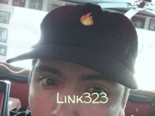 Link323