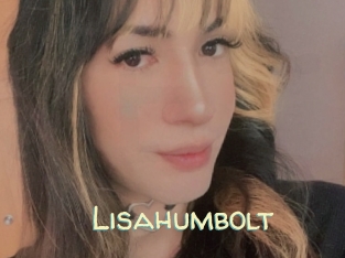 Lisahumbolt