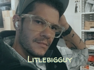 Litlebigguy