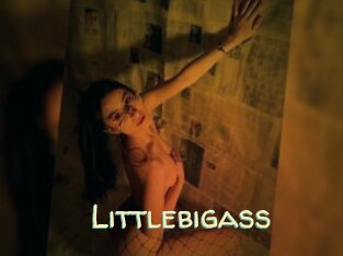 Littlebigass