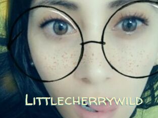 littlecherrywild Sexy Tchat