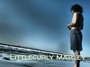 Littlecurly_marley