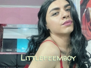 littlefeemboy Sexy Tchat