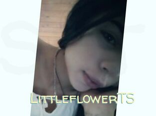 LittleflowerTS