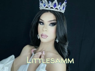 Littlesamm