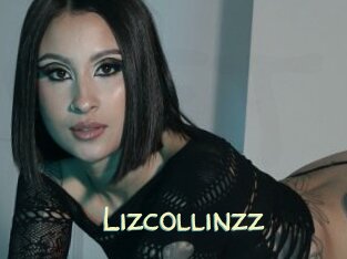 Lizcollinzz