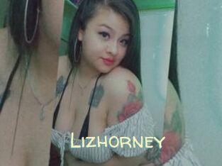Lizhorney