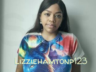 Lizziehamtonp123