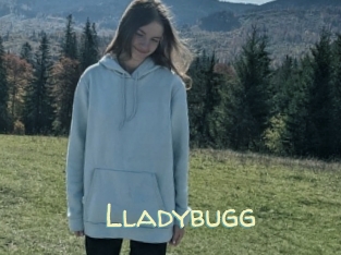 Lladybugg