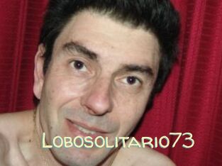 Lobosolitario73
