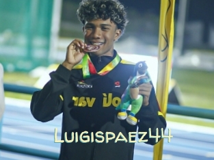 Luigispaez44