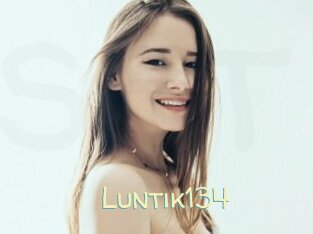 Luntik134