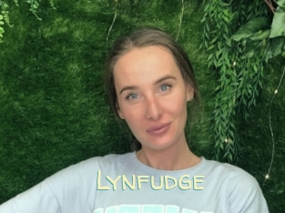 Lynfudge