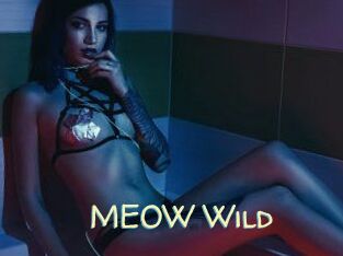 MEOW_Wild