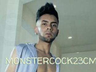 MONSTERCOCK23CM