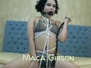 Maca_Gibson