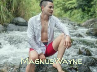MagnusWayne