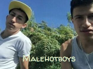 Malehotboys