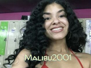 Malibu2001