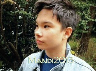 Mandi2013