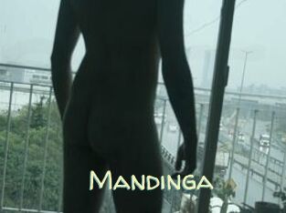 Mandinga